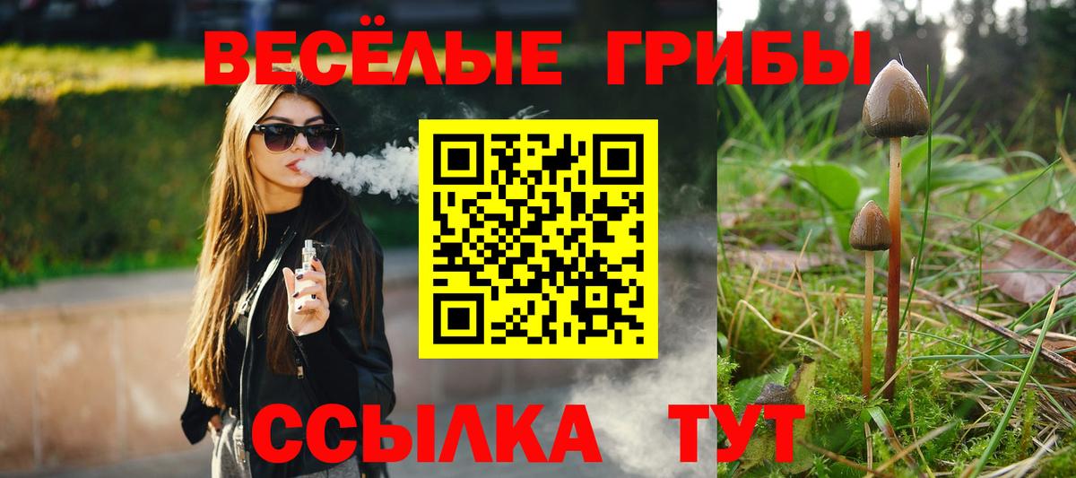 Елизово  Галлюциногенные грибы прущие грибы  Псилоцибиновые грибы прущие грибы  купить  сайты  Вход с VPN 