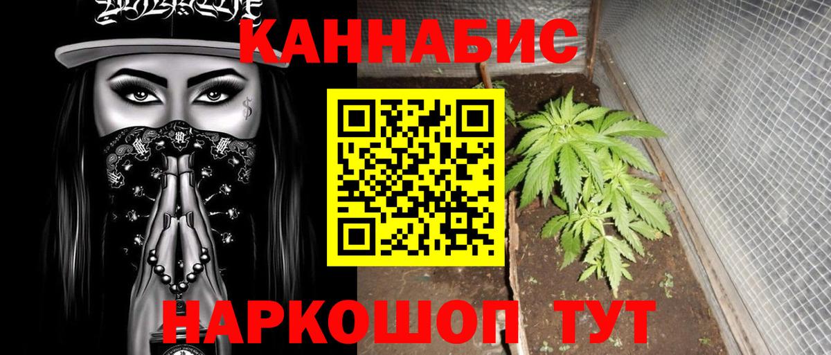 Елизово  Бошки марихуана SATIVA & INDICA  Марихуана AK-47  Бошки Шишки тримм  Вход с VPN  Канабис гибрид 